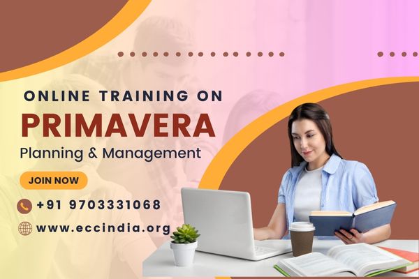 PRIMAVERA Online Training in India